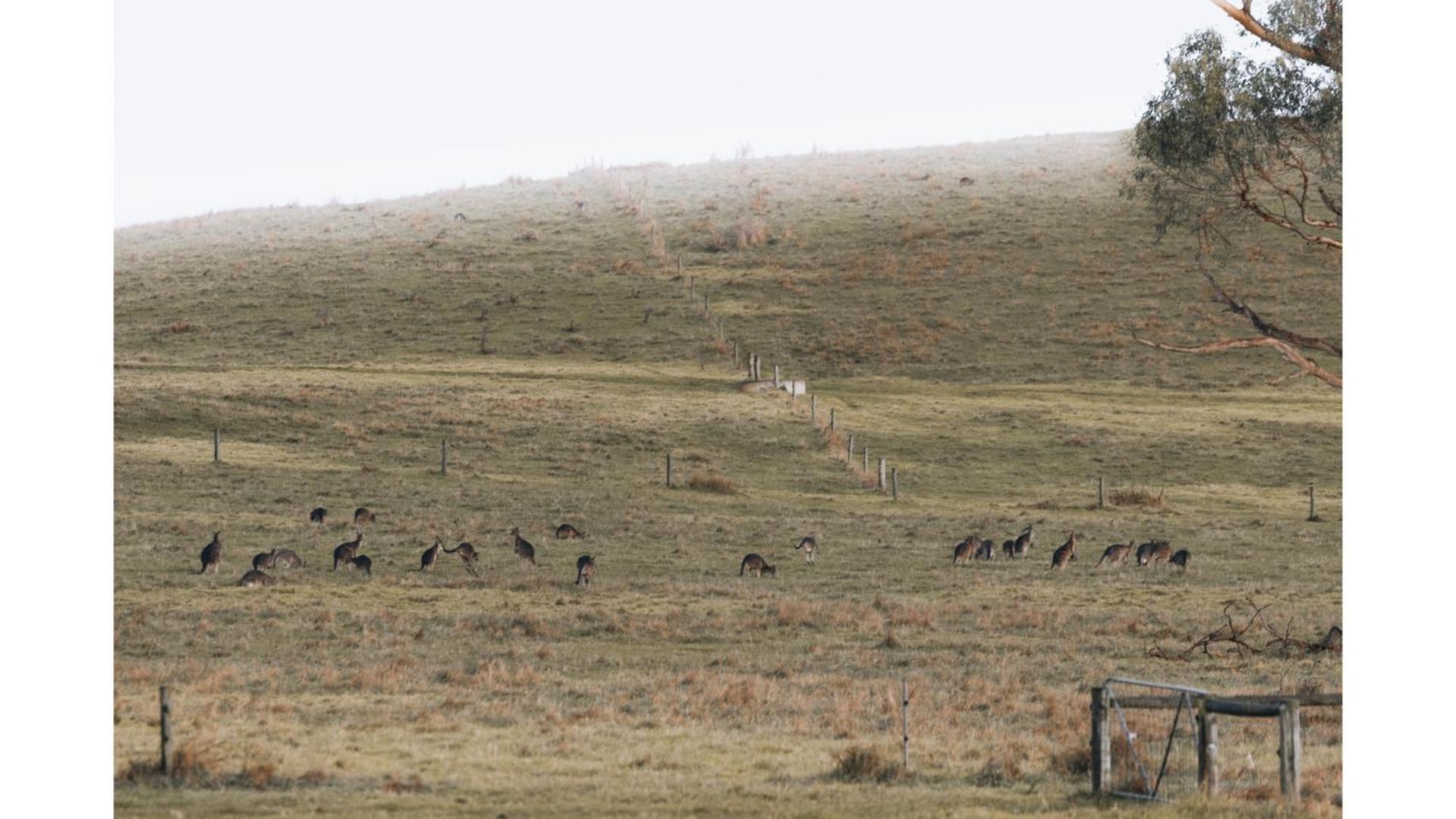 Bush Retreat 1 By Tiny Away Βίλα Alberton West Εξωτερικό φωτογραφία